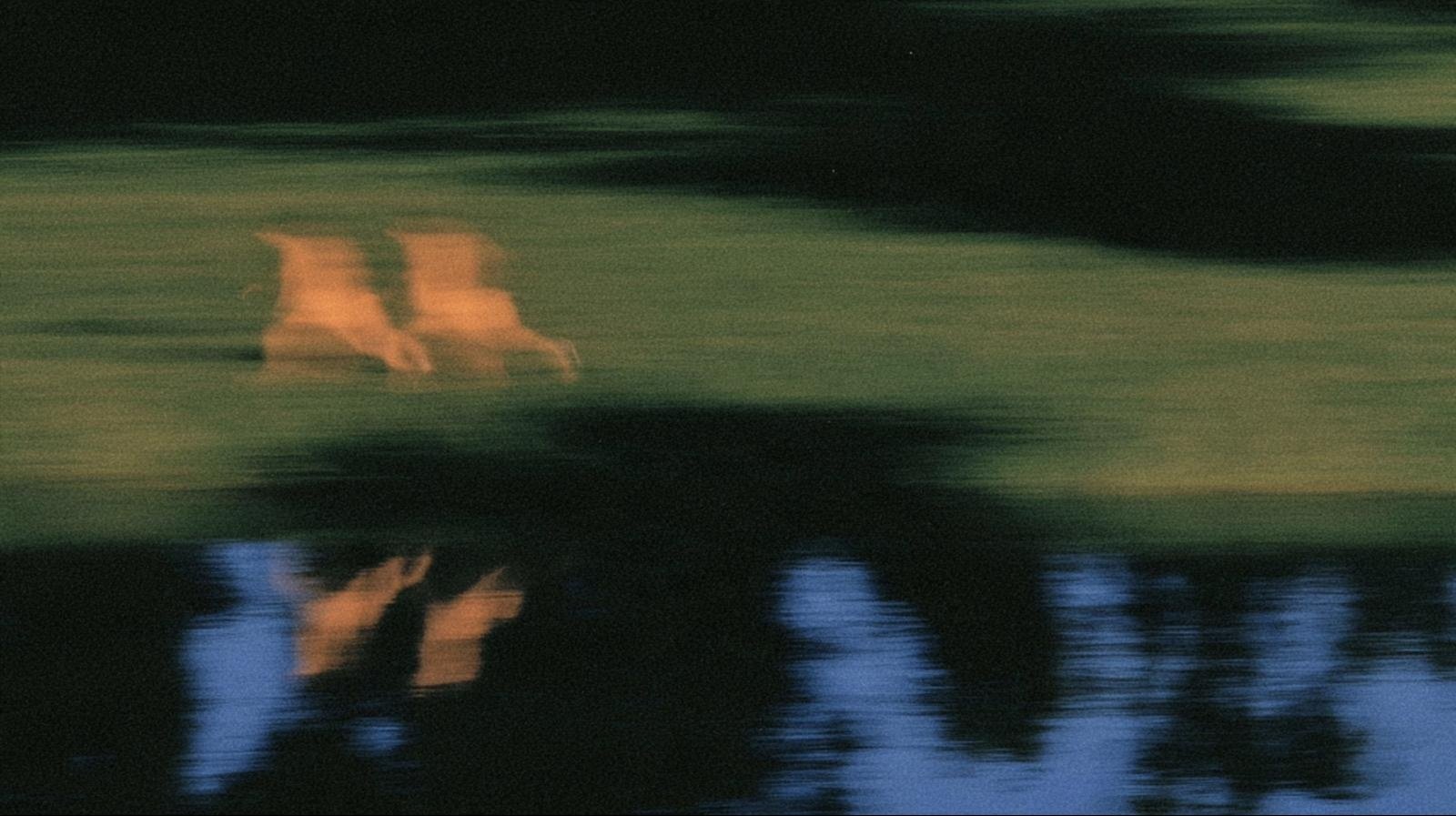 Two figures of warm light by a river